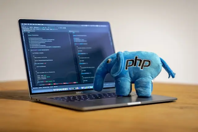 WordPress Plugin Entwicklung für individuelle CMS-Lösungen